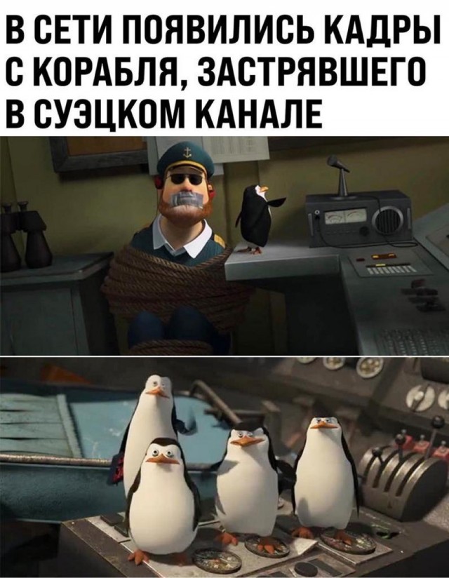 Египет возложил вину за блокировку Суэцкого канала на капитана контейнеровоза