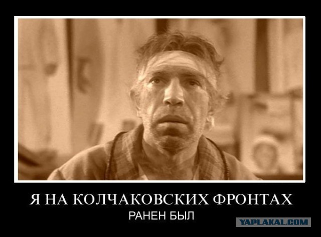 Устроивший ДТП на Садовом блогер Эдвард Бил гонял на подложных номерах