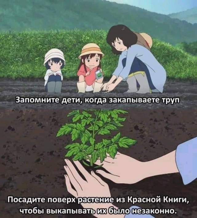 Так себе картинки 03.05.21
