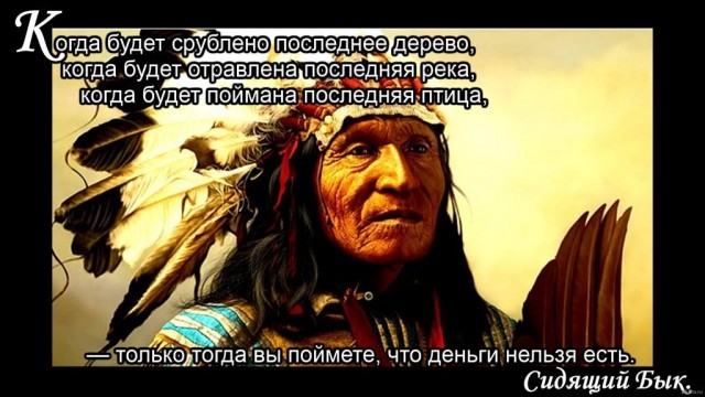 В Краснодаре вырубают дубовый сквер "чтобы никого не убило"