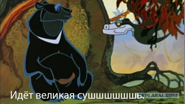Жара испепеляет центральную часть России