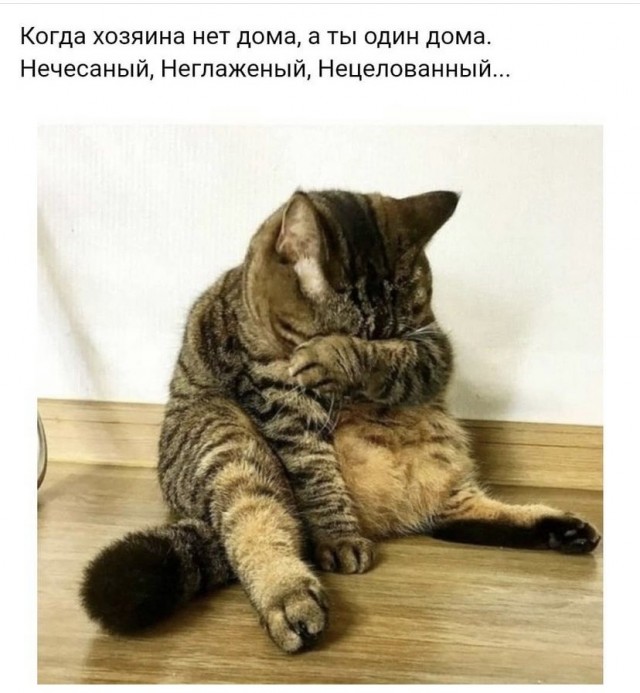 Так себе картинки 29.06.21