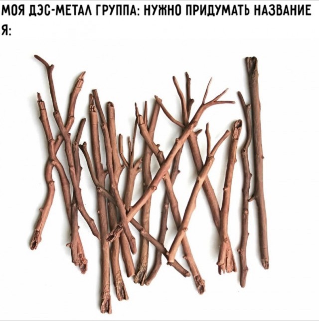 Весёлый полтишок 15.08