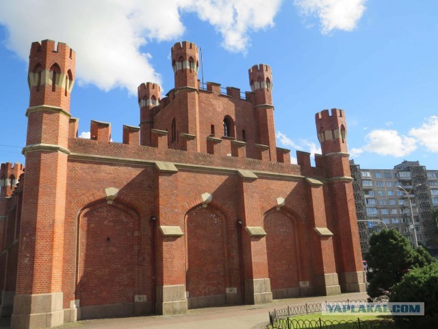 Калининград – любовь с первой прогулки…