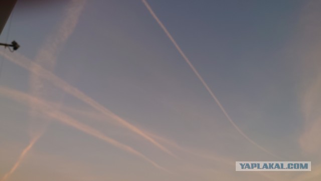 Помощник дежурного в ФСБ по Новосибирской области принимает жалобу на полосы от самолетов в небе