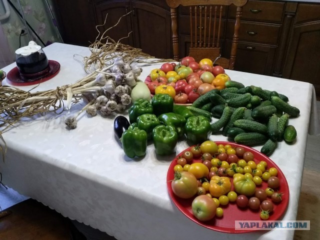 Чрезвычайно жестокие фотографии еды