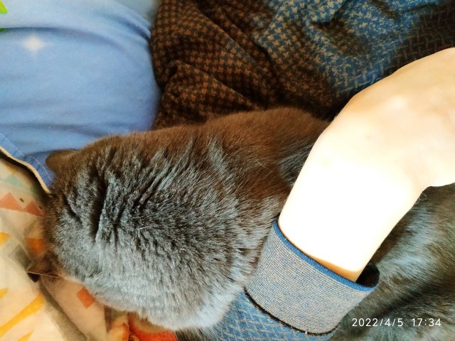 А ваши котейки че счас делают?