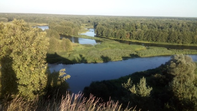 Воронеж. А также Тула и Орел. Зарисовки из провинции
