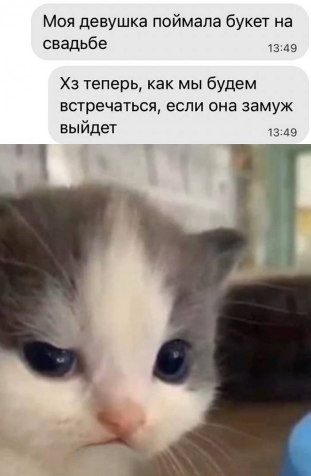 Картинки и мемы для настроения - 19