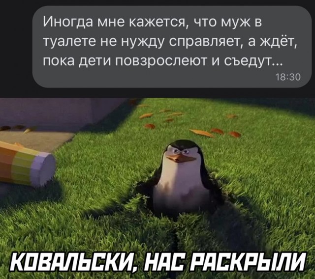 Картинки и мемы для настроения. Выходные скоро