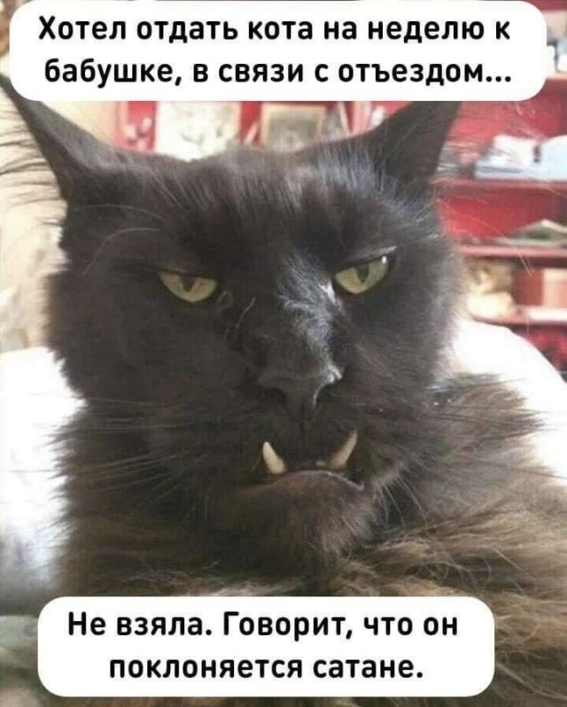 Так себе картинки 17.07.22