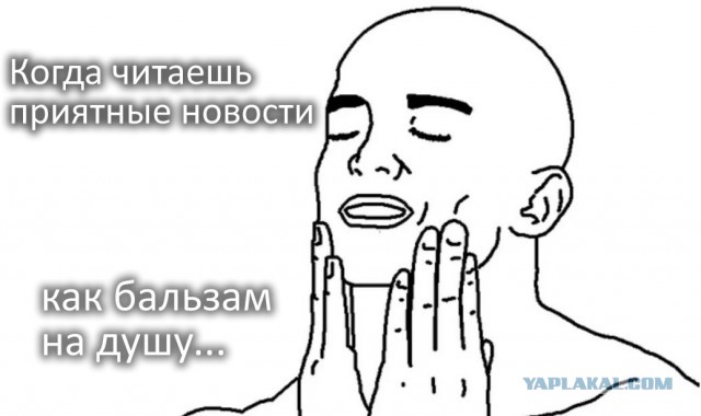 В Крыму неизвестный сжег машины телеведущего Дмитрия Киселева
