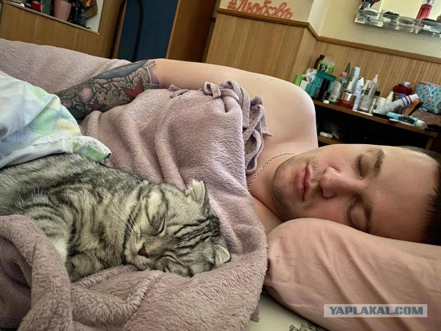 А как вы спите с котиком?