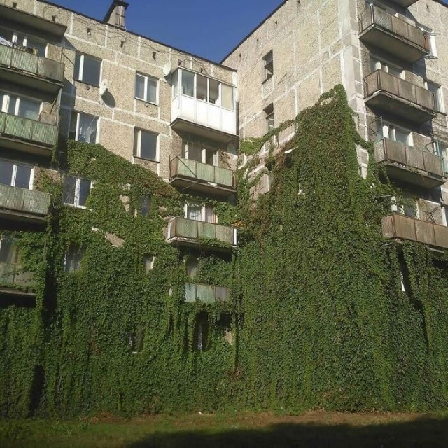 Необычные картинки