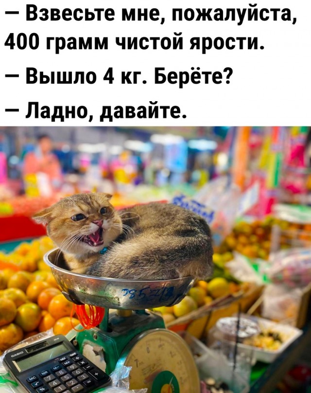 Так себе картинки 27.02.23