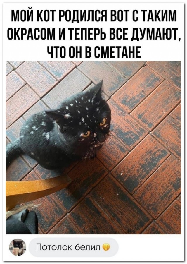 Забавные комментарии из социальных сетей (06.03.23)