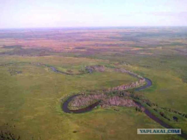 Васюганские болота: где находится самая огромная и неприступная топь в мире и что мы знаем о ней