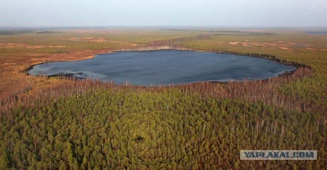 Сибирские перекрёстки