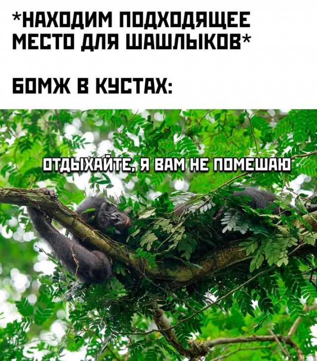 Картинки и мемы, это май-чародей всяко разно - 177