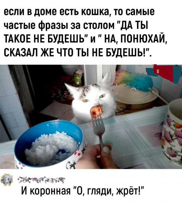 Картинки и мемы, всяко разно - 179