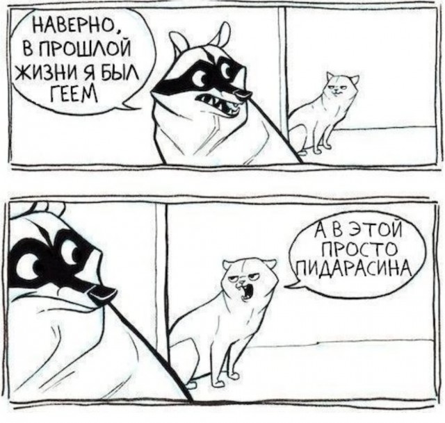 Поздний ужин сильной независимой женщины