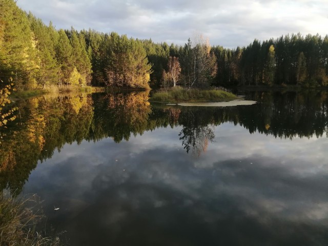 Краски осени