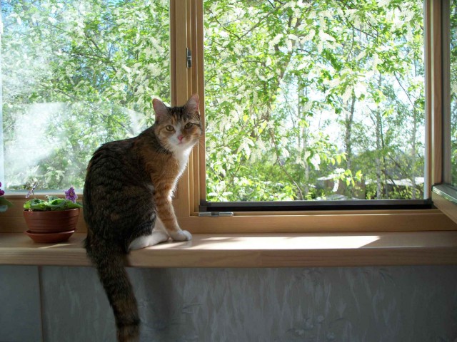 Да почему вы так мало живёте!