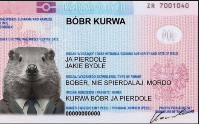 Хомяк курва