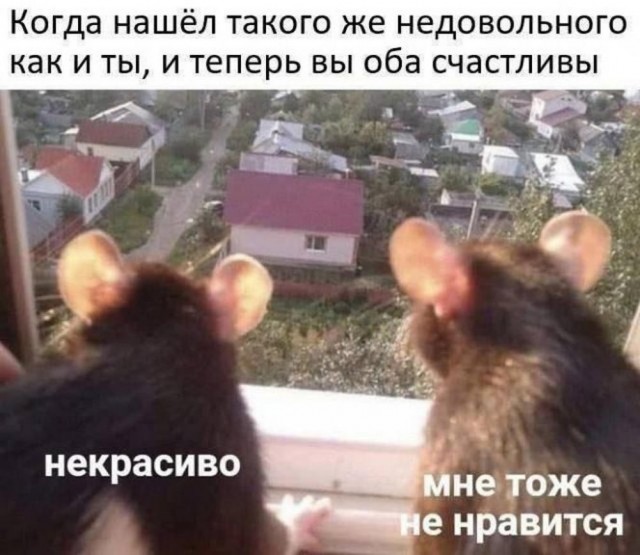 ТРРРРРидцать тРРРРРи от 22 маРРРРта!