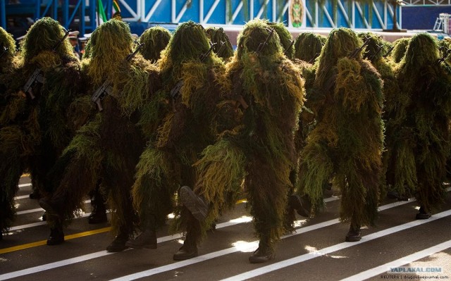 Кто шагает дружно в ряд?