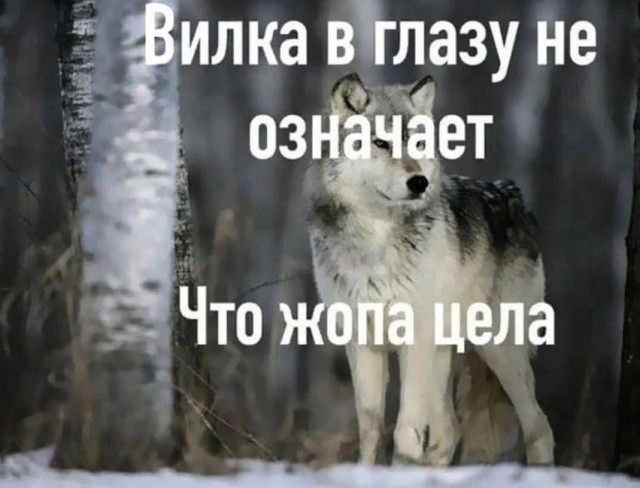 Всего понемногу. От 12.05.2024