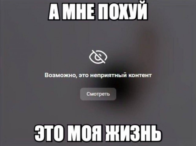 Весёлый полтишок 20.05.24