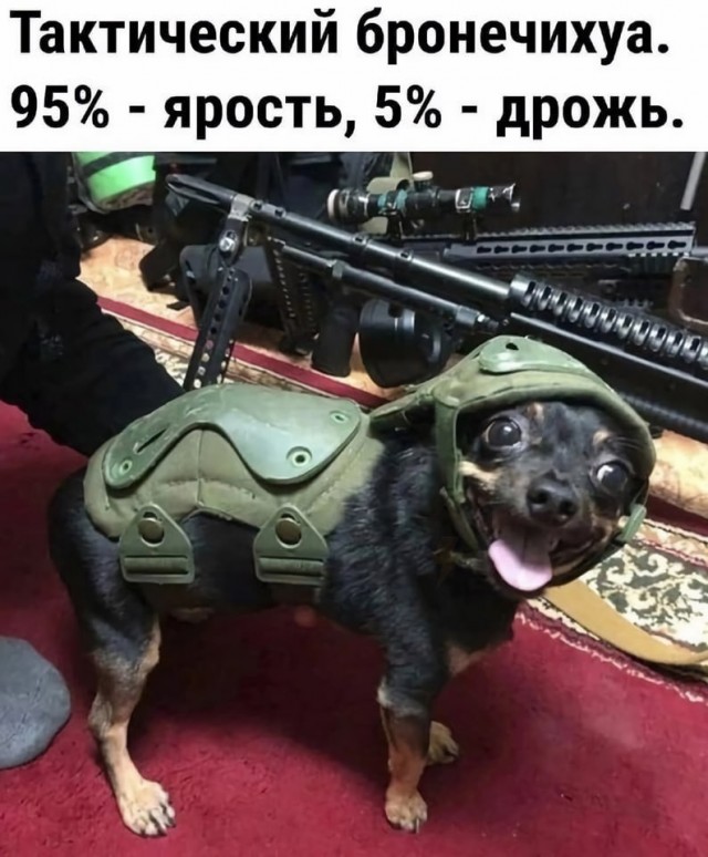 Завалялось тут случайно немного забавных картинок