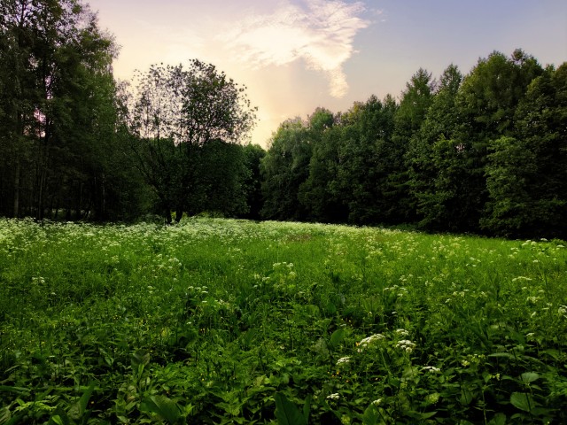 Фоточку сделал сейчас