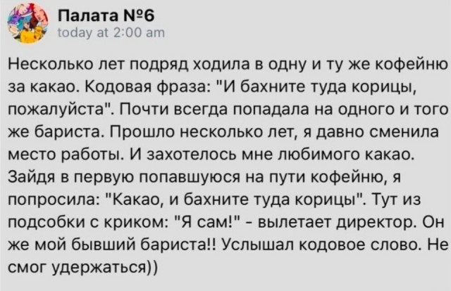 Весёлый полтишок 10.06.24