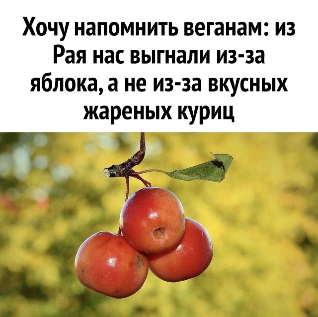 Завалялось тут случайно немного забавных картинок