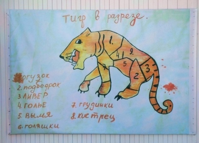 Тигры полосатые