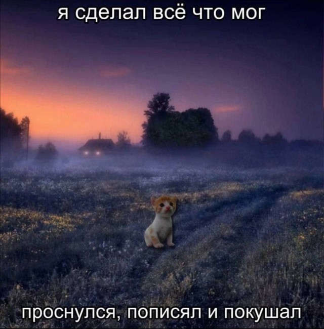 Всего понемногу. От 25.11.2024