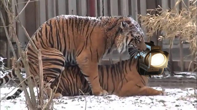 Самый трудный противник⁠⁠
