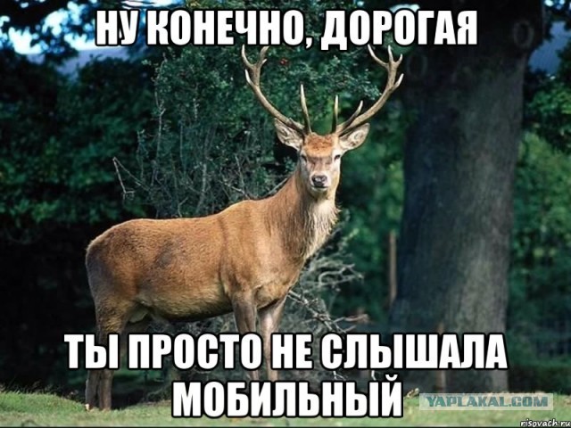 Как бывшая супруга хотела украсть квартиру и машину⁠⁠
