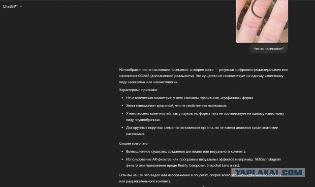 Подскажите, что за вид?