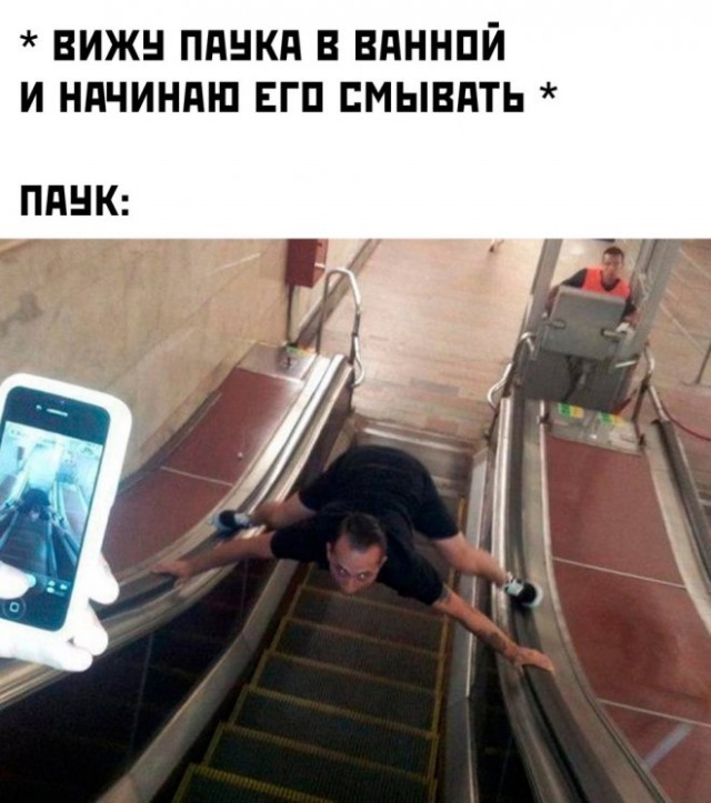 Веселые картинки в пятницу (06.06)