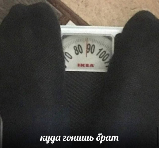 Весёлый полтишок 22.07.25