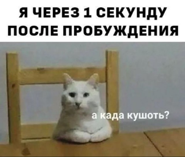 Так себе картинки 20.08.25