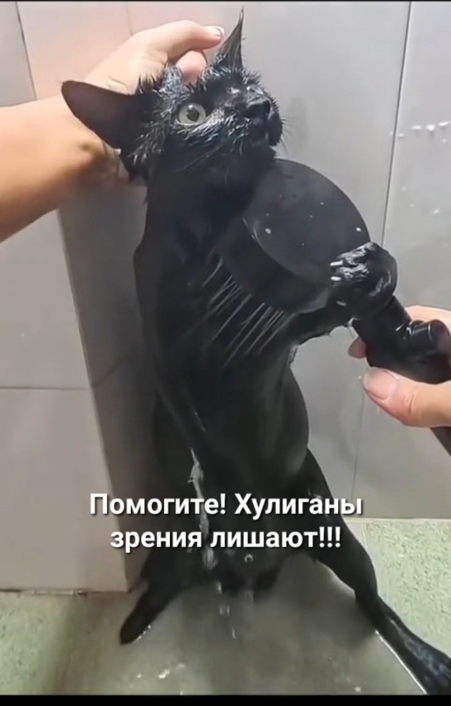 Почти съеб@лся , поймал кожанный.