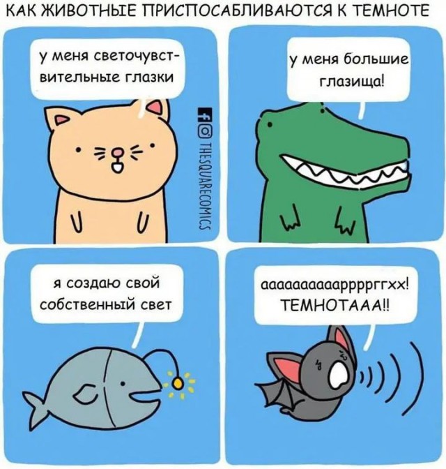 Среда обитания 0.1