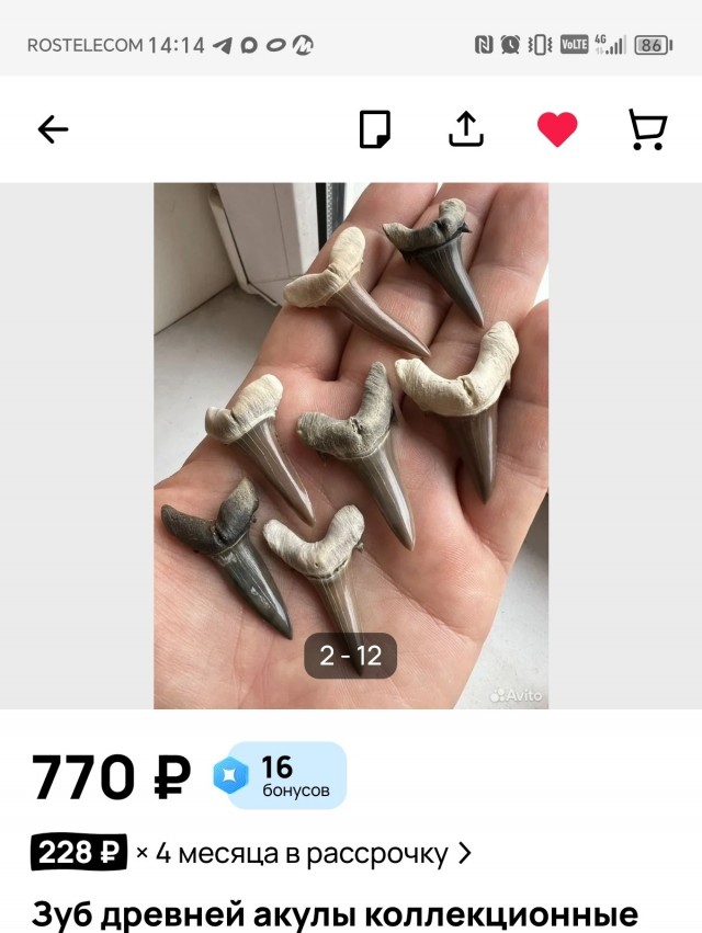 Зубы