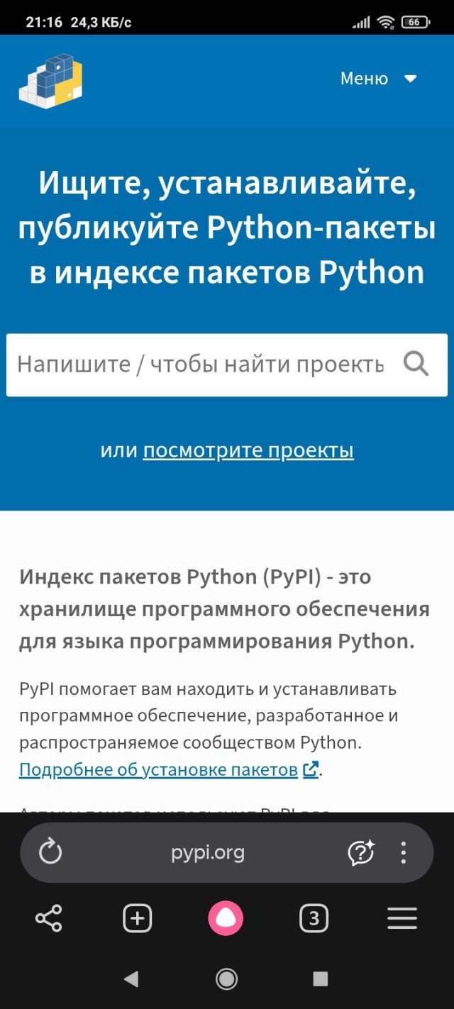 В России заблокировали Python