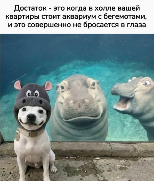 Так себе картинки 12.06.26