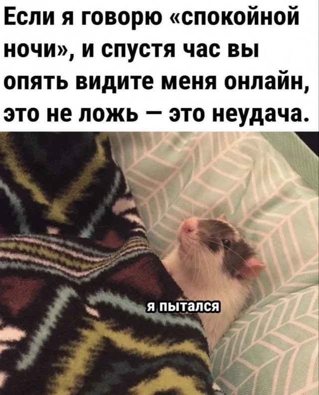 Немного картинок - продолжение 11